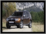 Generacja, Dacia Duster I, Pierwsza